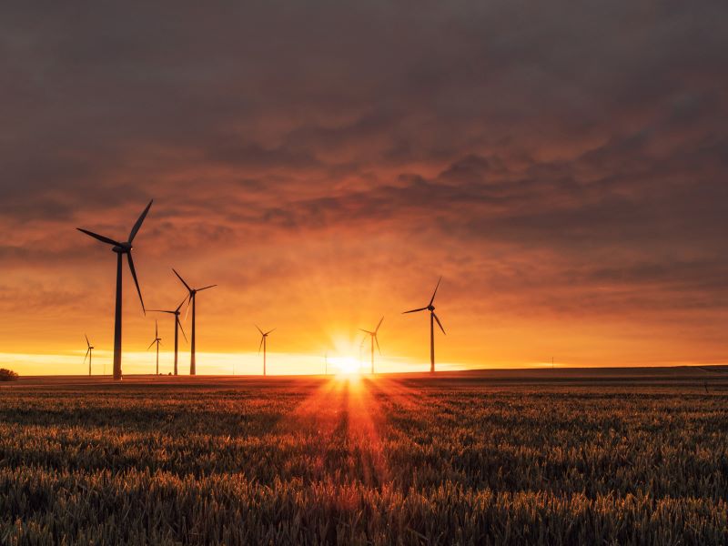 Supporting student action on sustainability