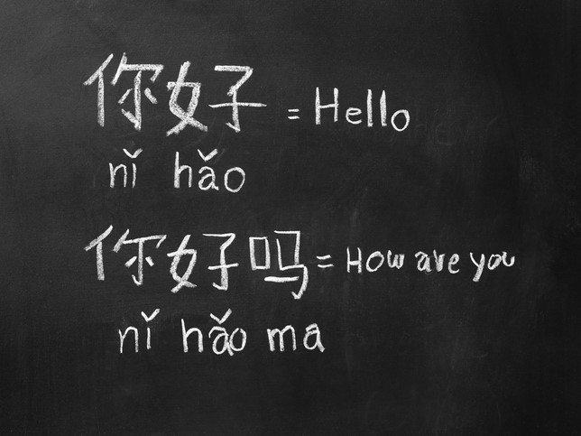 The trials of teaching a ‘new’ script in a virtual world