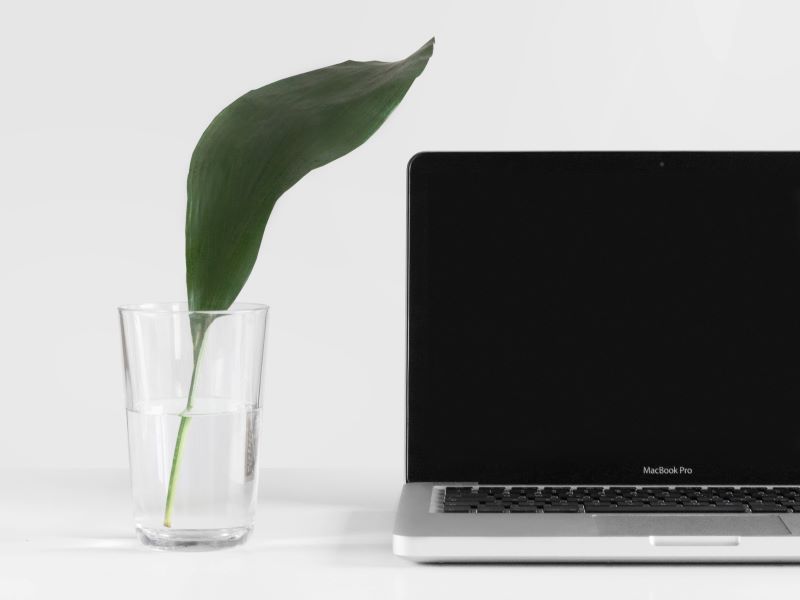 Building a tech toolkit to solve online teaching challenges