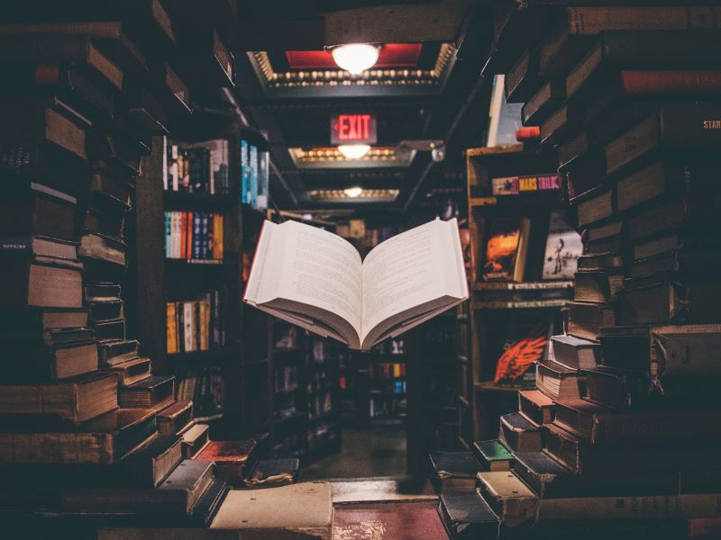The arts and humanities have not been forgotten: finding funding post-pandemic 