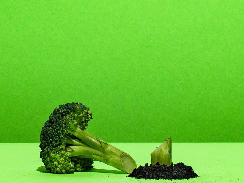 Broccoli and birdsong: the shifty discourse of ‘staff well-being’