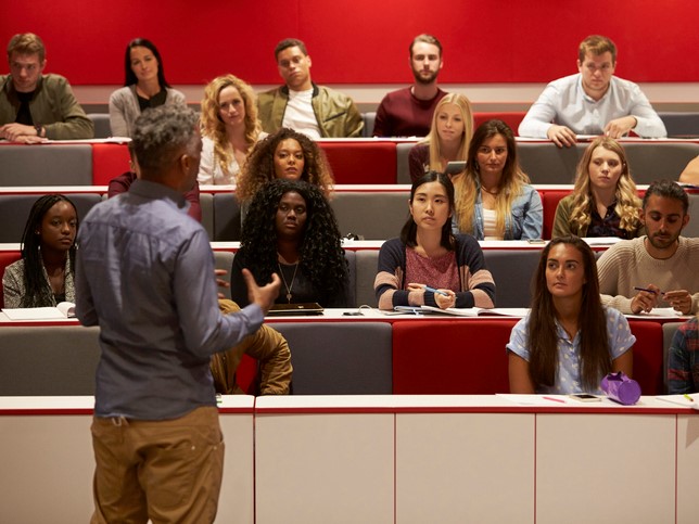 What is the purpose of a university lecture?