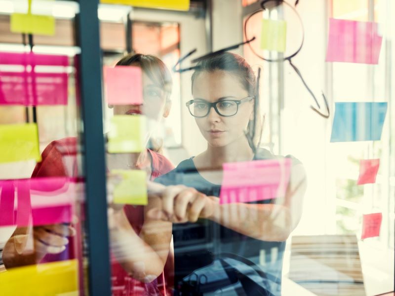 Shaping a curriculum framework: the fundamental principles