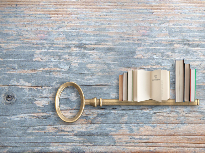 Learning to learn and higher-order thinking: it’s not just what to learn but how to learn 