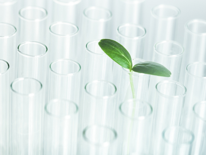 Greener life science labs: the challenge to save energy and reduce waste