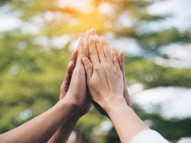 Does the UK need an observatory for university engagement with policymakers?