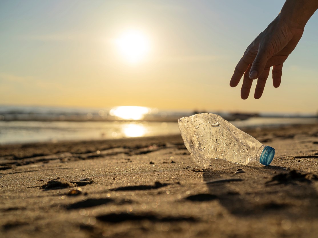 From personal to professional: incorporating sustainability into your university work