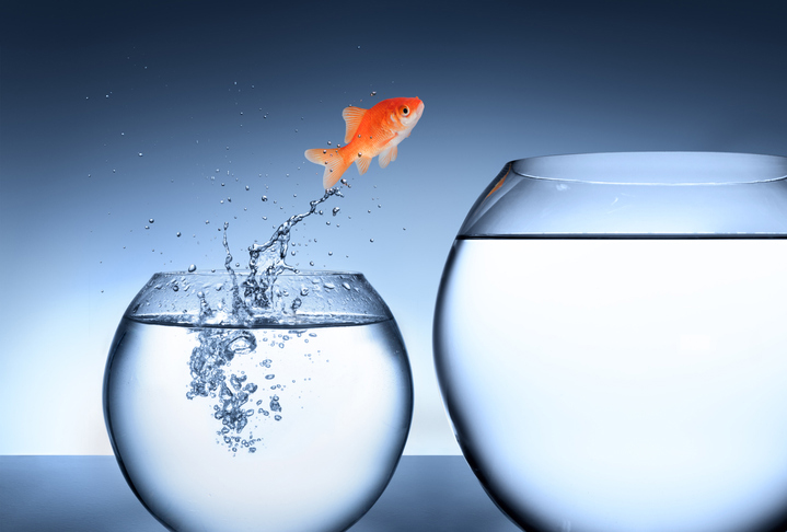 How to find personal fulfilment after being a scientist