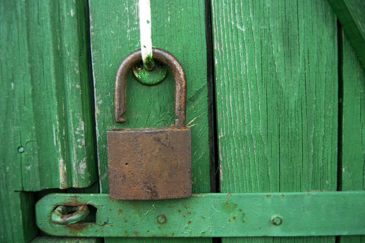 Open access is inevitable – only the ‘how’ remains up for discussion