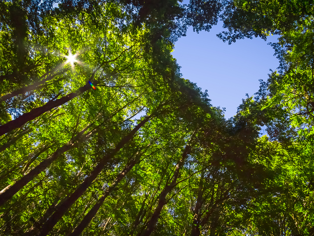 How we partner with landowners to sequester carbon emissions