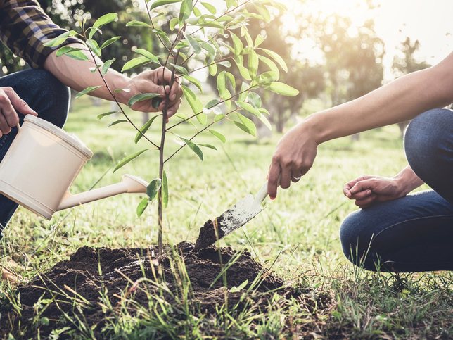 Making sustainability part of university DNA