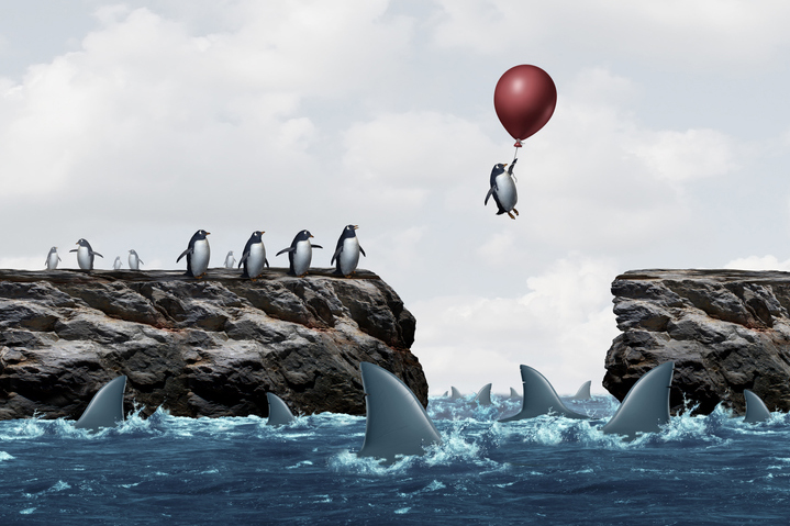 An academic’s advice for navigating risk