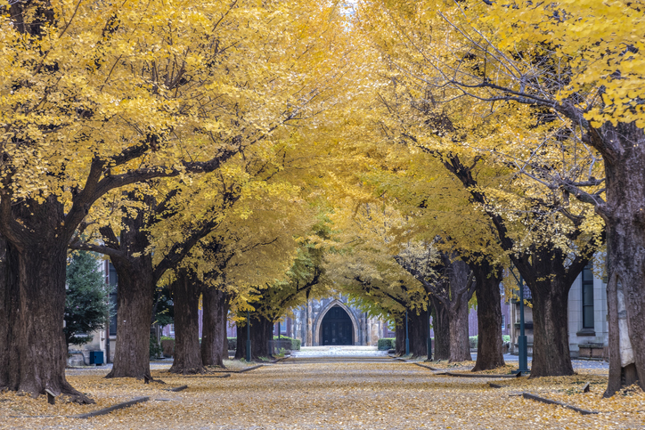 How to use campus design to nurture a culture of belonging