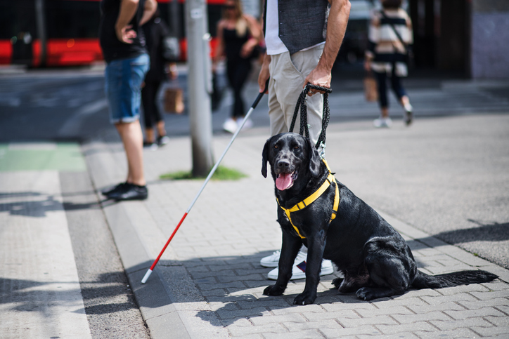 How to create an inclusive learning environment for visually impaired students