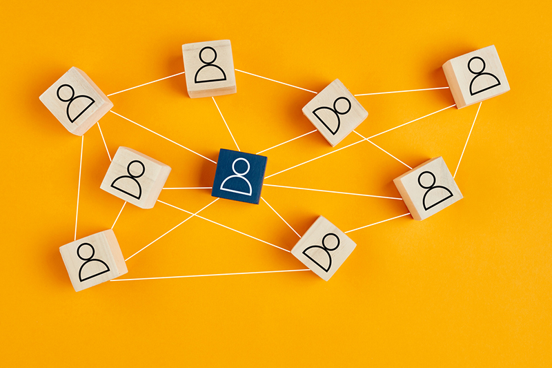 How a strong network can enhance the PhD journey