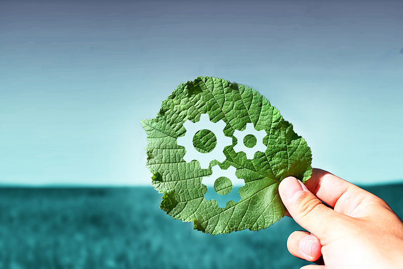 What work-based learners need from sustainability education