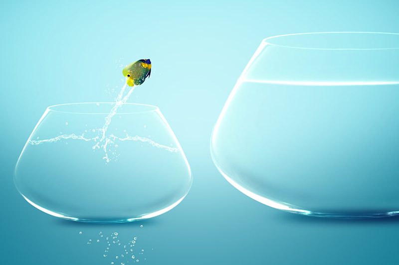 Why university-wide curriculum transformation is a leap of faith 