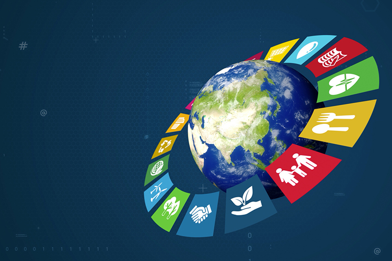 Using Sustainable Development Goals to foster innovation