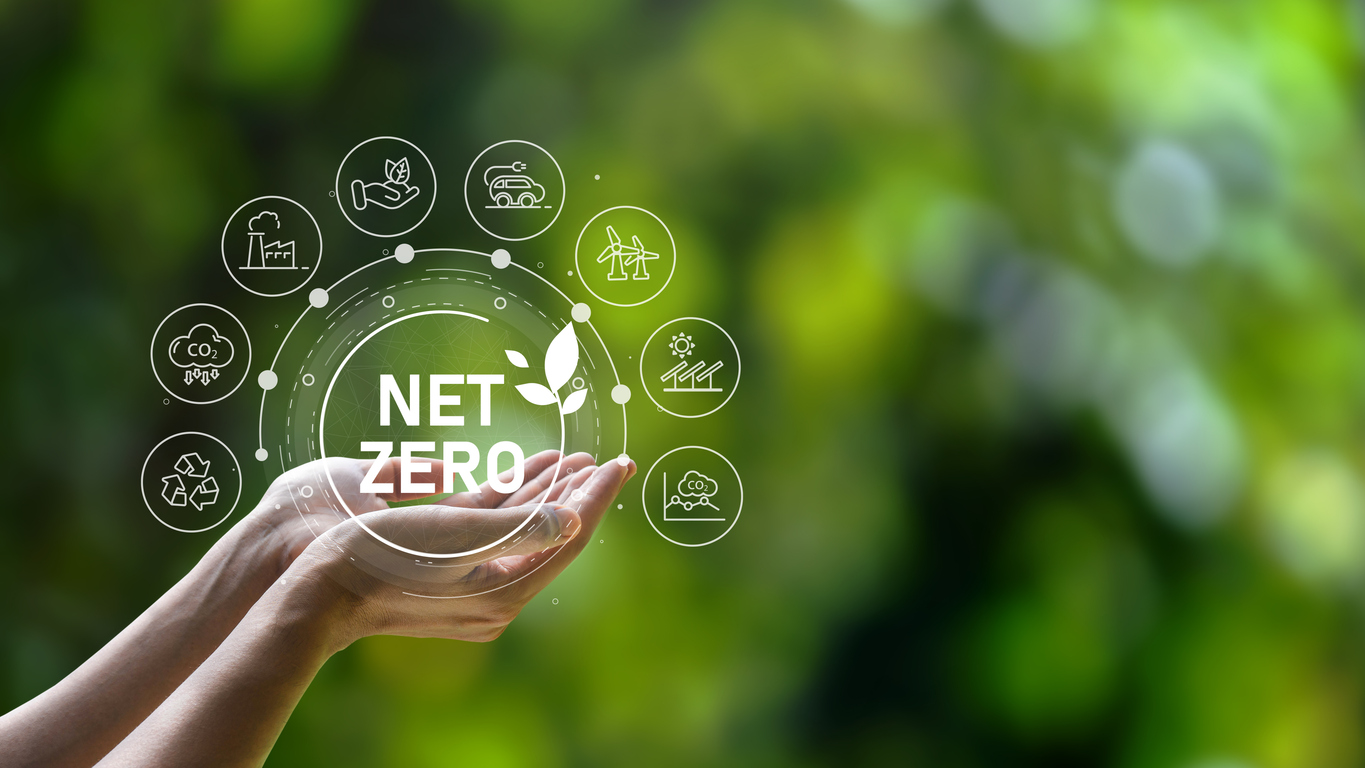 Strategies to move universities to net zero