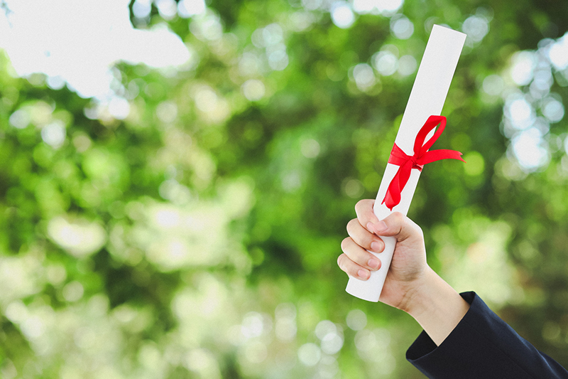 Why transfer student programmes are key to expanding access