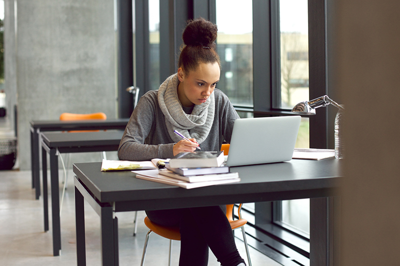 Enhancing the thesis experience: insights from master’s students 