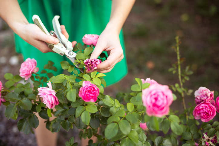How to create an environment your employees can thrive in
