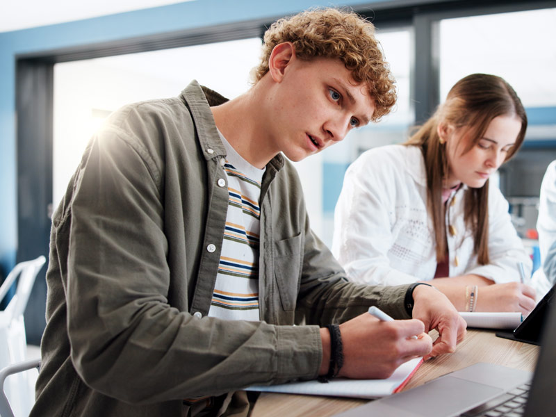 Utilising microcredentials to enhance student success