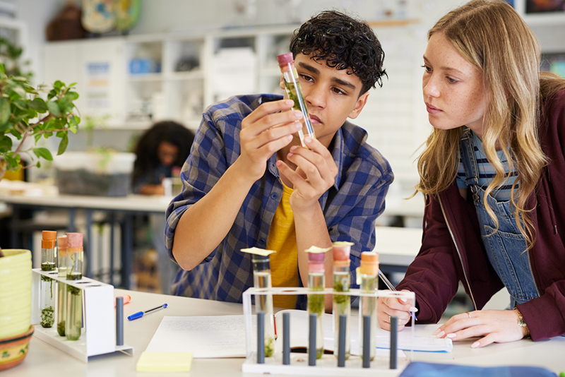 Why investment earlier in the pipeline would strengthen diversity in STEM 
