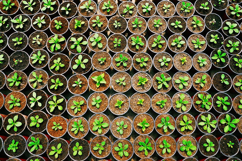 Awareness to action: how to embed sustainability in university teaching