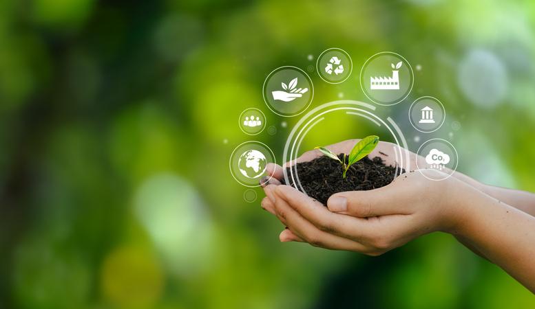 Hands holding seedling surrounded by sustainability icons