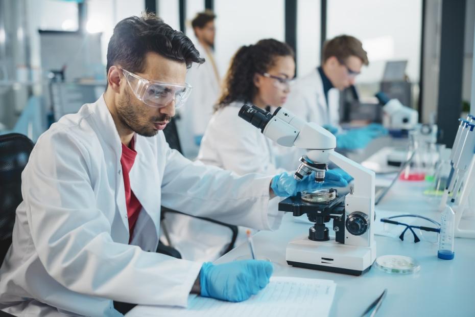 Research students in a lab