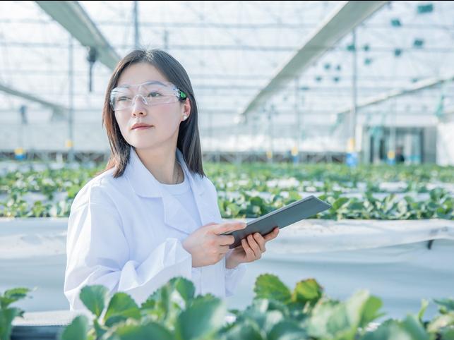 A scientist stands in a greenhouse with a tablet