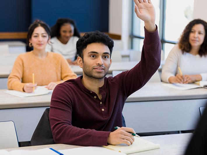 Young male student raising hand in class