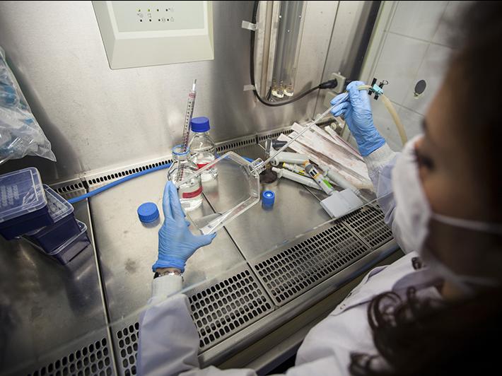Female scientist working in a fume hood