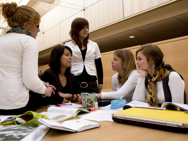 A group of students discussing an interdisciplinary project at a table 