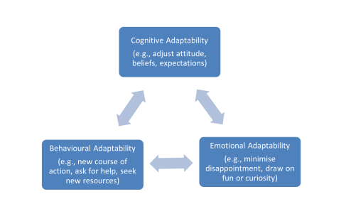 Adaptability framework