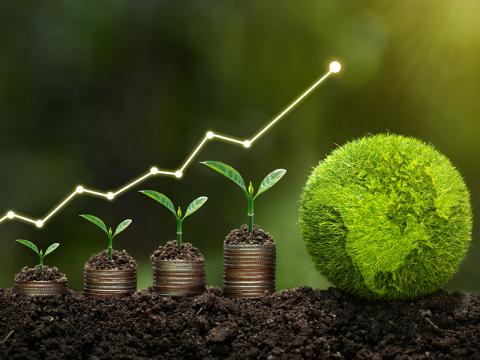 row of seedlings with arrow to plant-covered globe