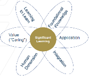 Fink’s taxonomy of significant learning (2003) 