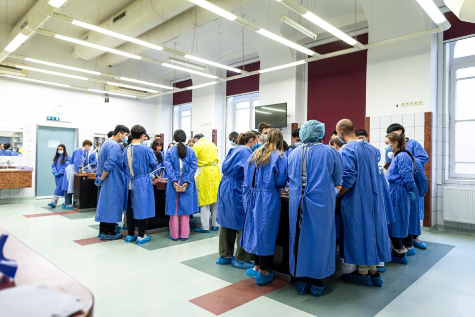 Students in an anatomy class at Semmelweis University