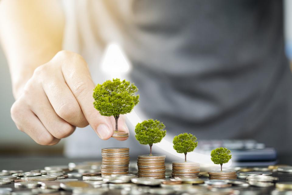 Piles of money with trees growing on top of them