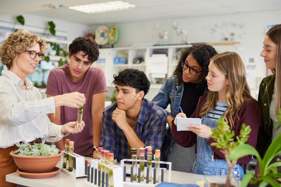 Students working on a project together in class