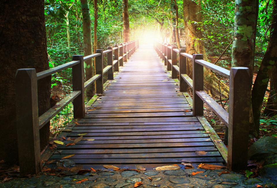 A bridge leading off into the distance