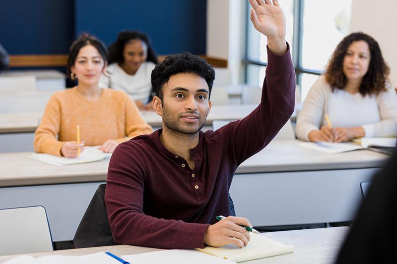 Young male student raising hand in class
