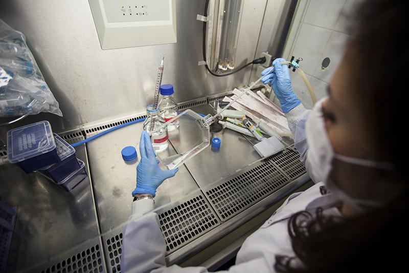 Female scientist working in a fume hood