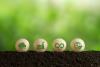 Life cycle assessment depicted by icons on wooden balls.