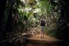 A man with a backpack wanders along a jungle path