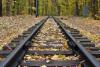 Leaves on railway tracks