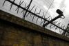 Barbed wire and a security camera on a brick wall