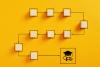 Stages of academic assessment