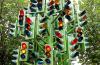 Lots of traffic lights mounted on single large pole